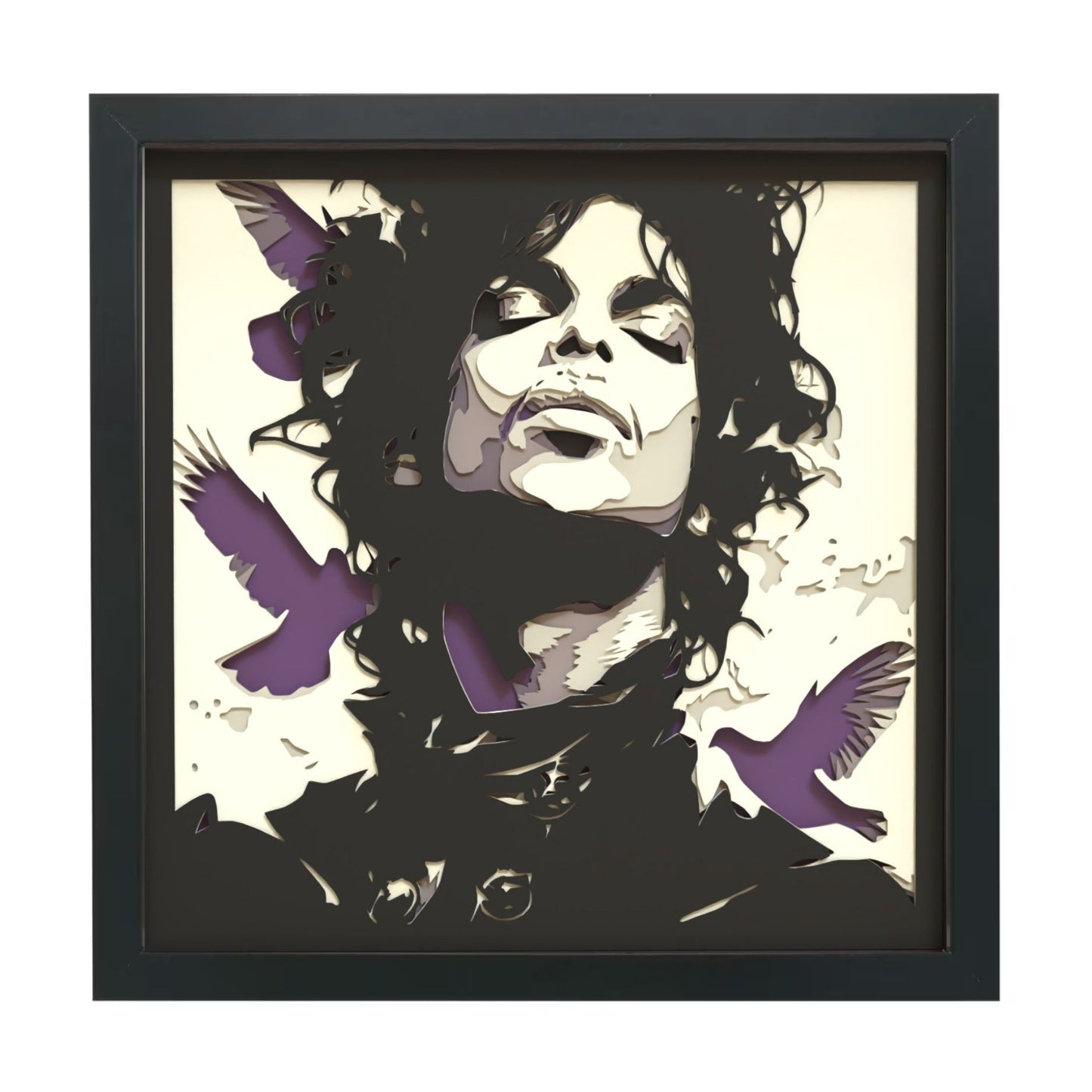 Prince Multilayer Shadow Box Frame Art