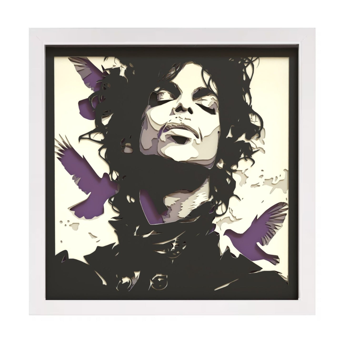 Prince Multilayer Shadow Box Frame Art