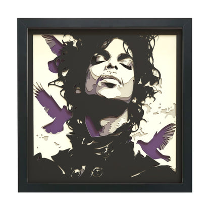 Prince Multilayer Shadow Box Frame Art