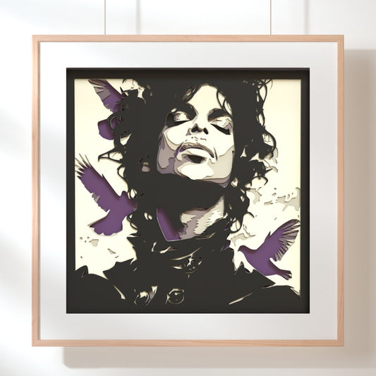 Prince Multilayer Shadow Box Frame Art