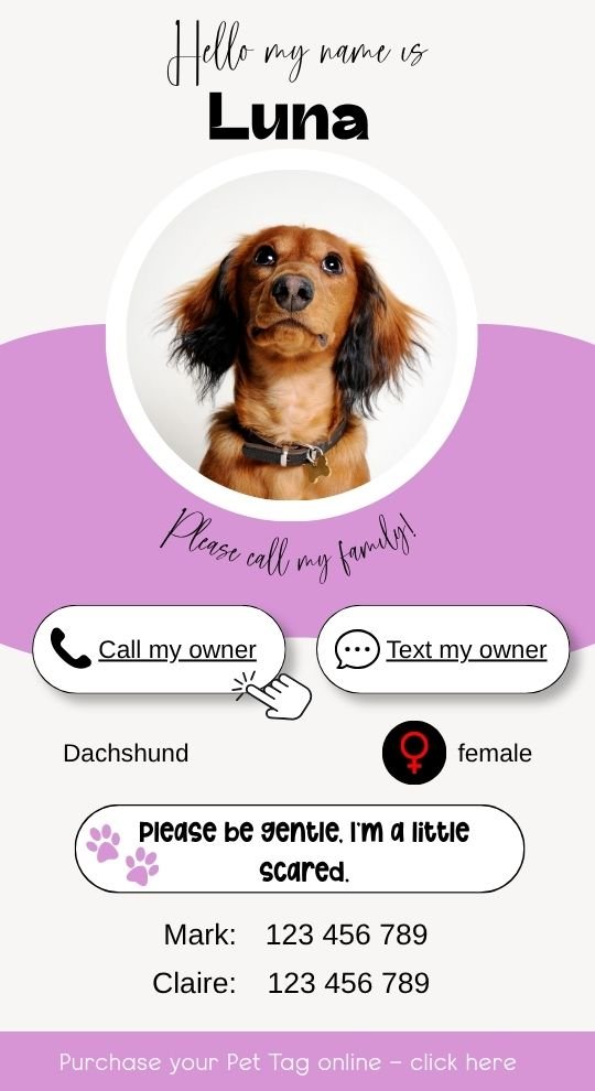 Intelligent Pet Tag - NFC technology - Image 12