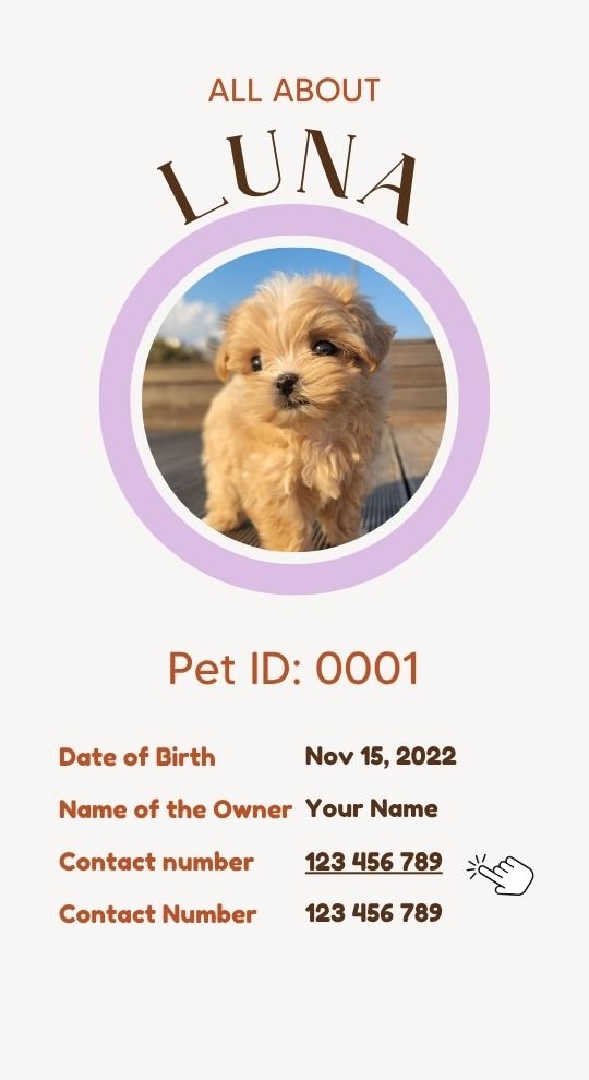 Intelligent Pet Tag - NFC technology - Image 13