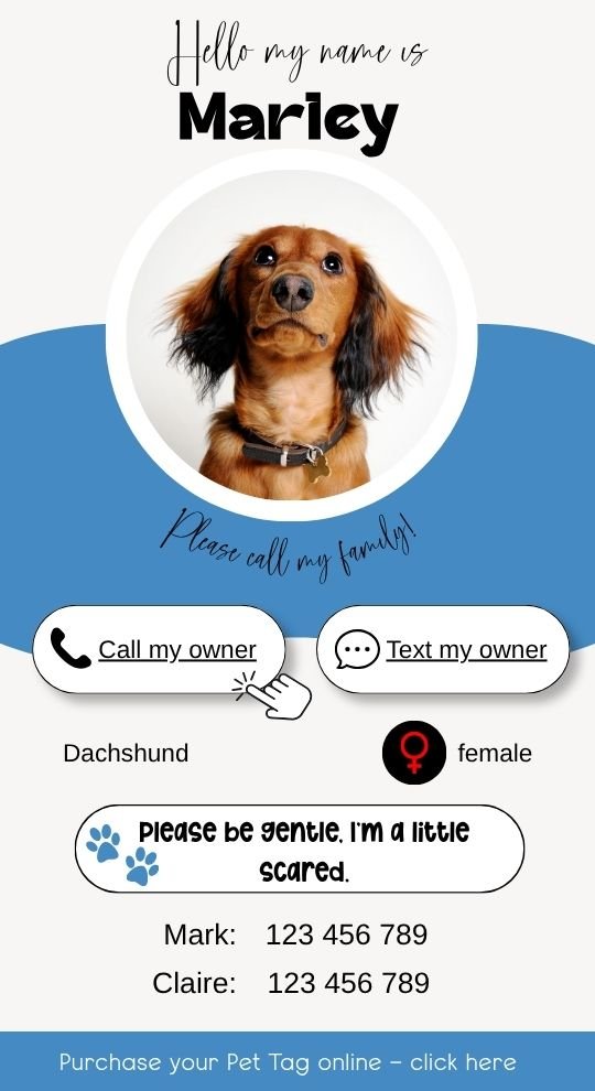 Intelligent Pet Tag - NFC technology - Image 10