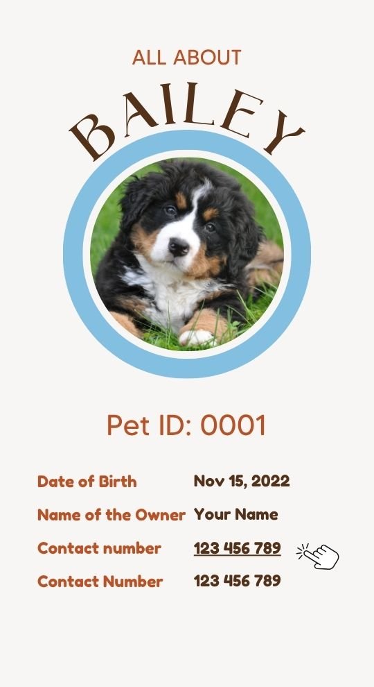 Intelligent Pet Tag - NFC technology - Image 11