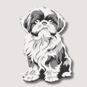 Shi Tzu